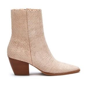 Matisse Caty Bootie